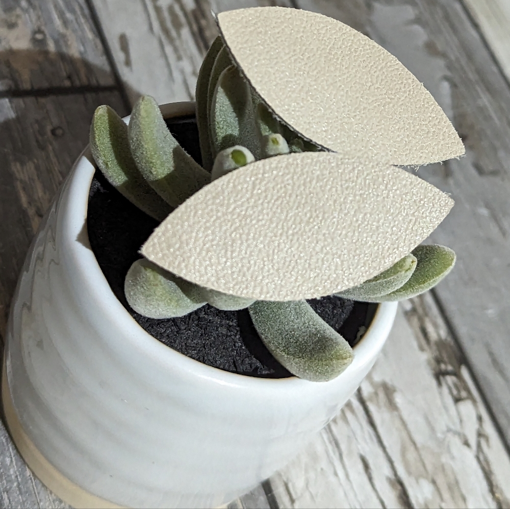 2 for $4 Item: Beige Leather Hair Barrette Set New!